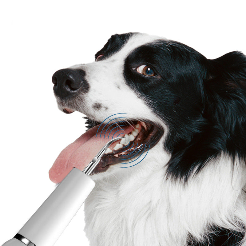 Dispositivo Ultrasónico de Limpieza Dental para Mascotas
