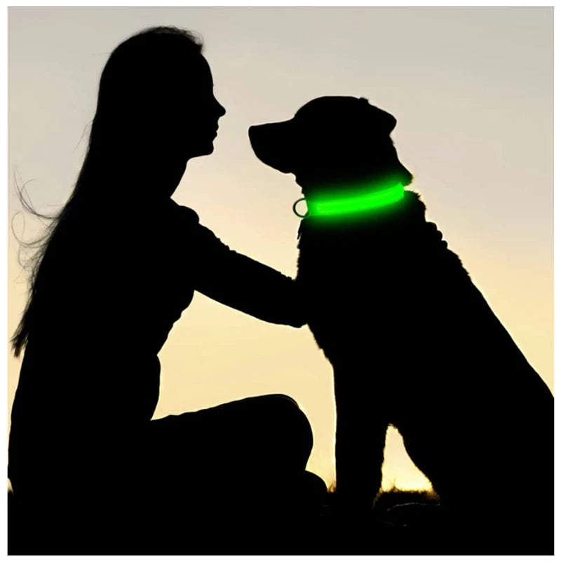 Collar LED Recargable para Perros y Gatos – 3 Modos, Desmontable y Brillo Nocturno