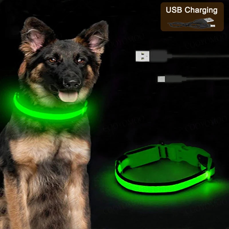 Collar LED Recargable para Perros y Gatos – 3 Modos, Desmontable y Brillo Nocturno