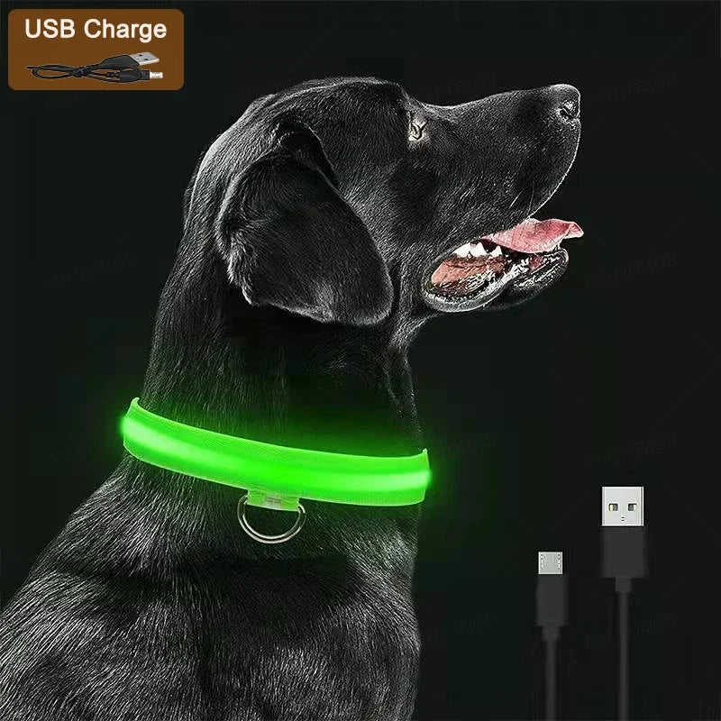 Collar LED Recargable para Perros y Gatos – 3 Modos, Desmontable y Brillo Nocturno