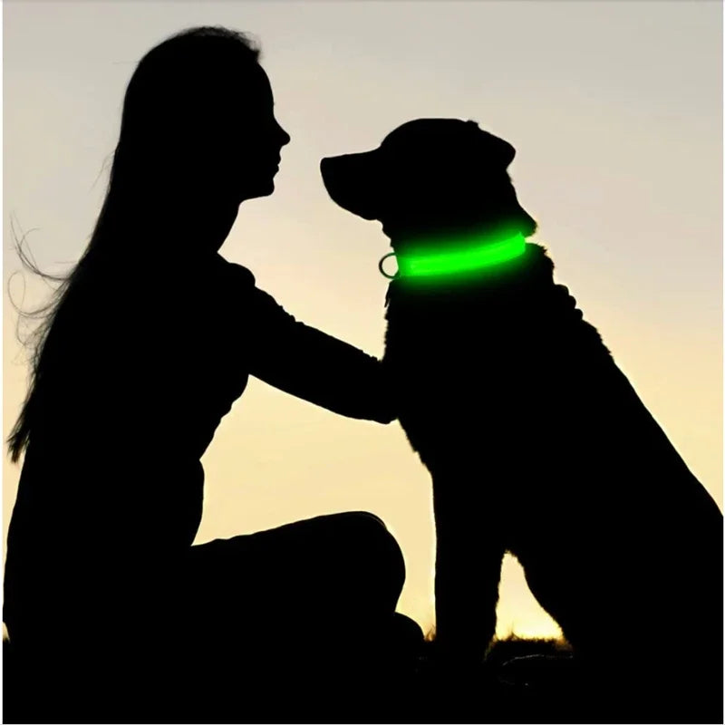Collar LED Recargable para Perros y Gatos – 3 Modos, Desmontable y Brillo Nocturno