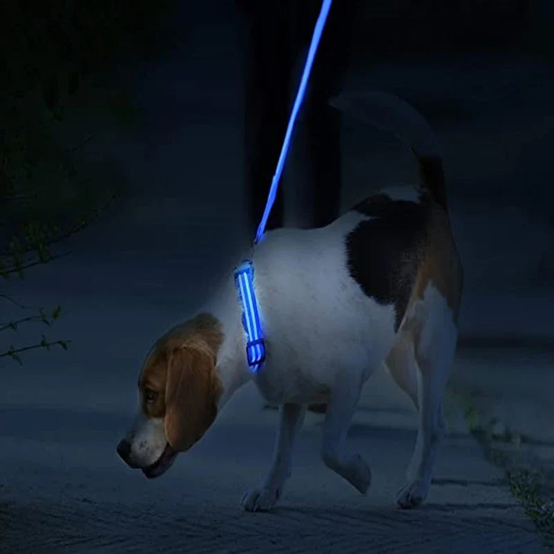 Collar LED Recargable para Perros y Gatos – 3 Modos, Desmontable y Brillo Nocturno
