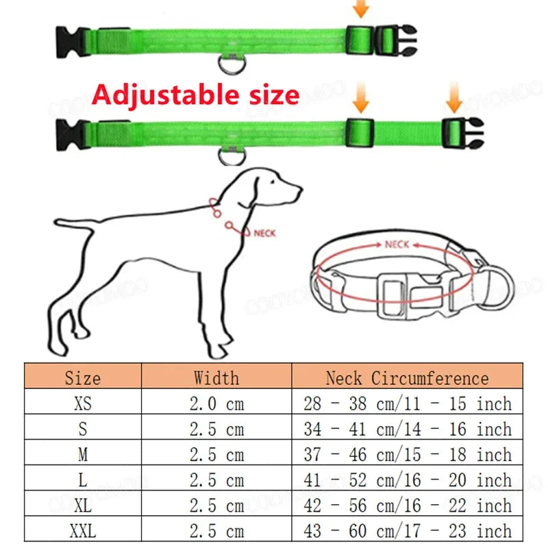 Collar LED Recargable para Perros y Gatos – 3 Modos, Desmontable y Brillo Nocturno