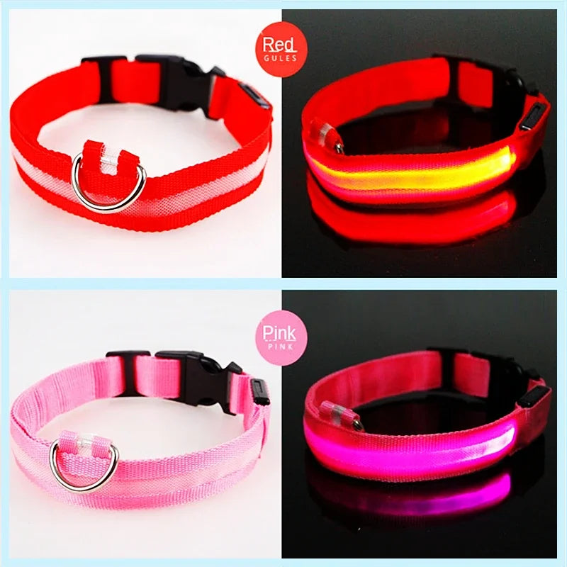 Collar LED Recargable para Perros y Gatos – 3 Modos, Desmontable y Brillo Nocturno