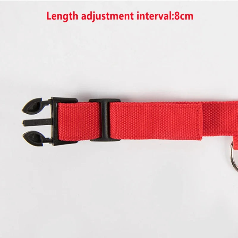 Collar LED Recargable para Perros y Gatos – 3 Modos, Desmontable y Brillo Nocturno