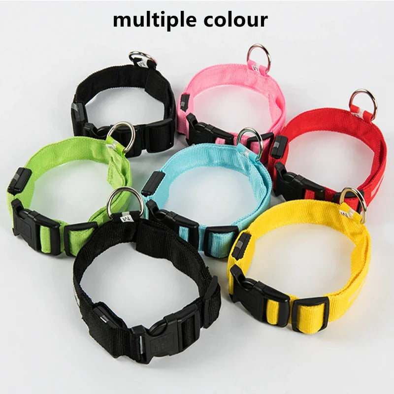 Collar LED Recargable para Perros y Gatos – 3 Modos, Desmontable y Brillo Nocturno