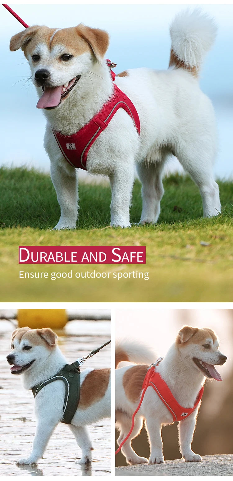 Set Arnés y Correa Ajustable para Perros y Gatos — Reflectante, Pequeños y Medianos