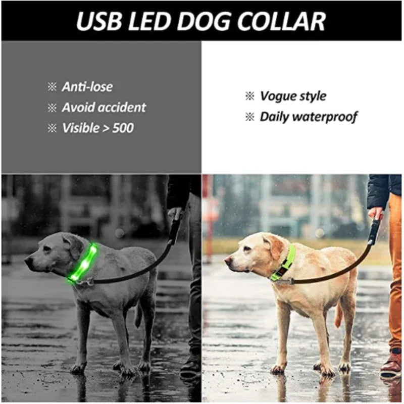Collar LED Recargable para Perros y Gatos – 3 Modos, Desmontable y Brillo Nocturno
