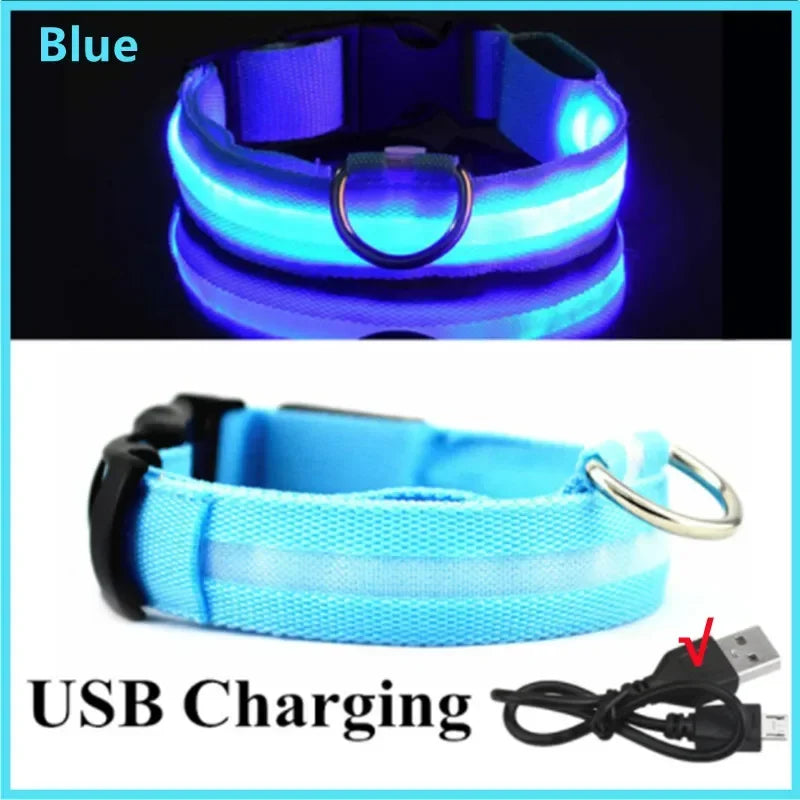 Collar LED Recargable para Perros y Gatos – 3 Modos, Desmontable y Brillo Nocturno