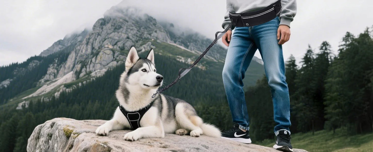 Correa de Cintura Manos Libres para Perros – Reflectante y con Bolsillo