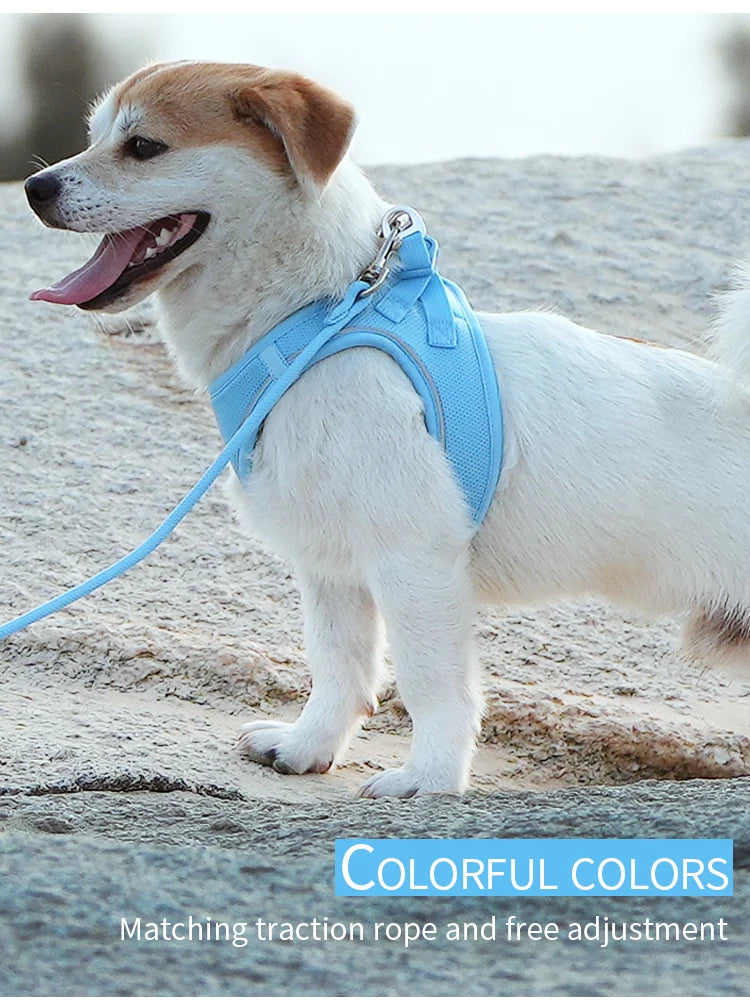 Set Arnés y Correa Ajustable para Perros y Gatos — Reflectante, Pequeños y Medianos