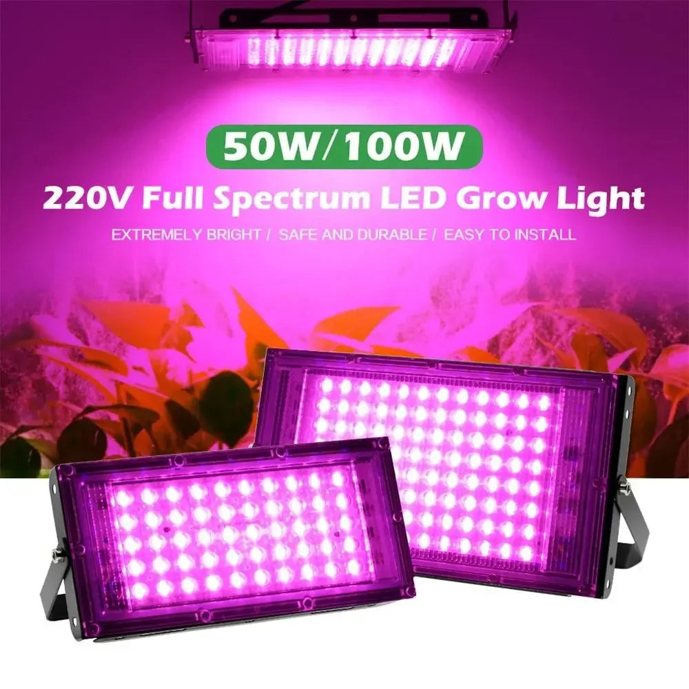 Lámpara LED Full Spectrum para Cultivo — 50W, 100W, 200W, 300W