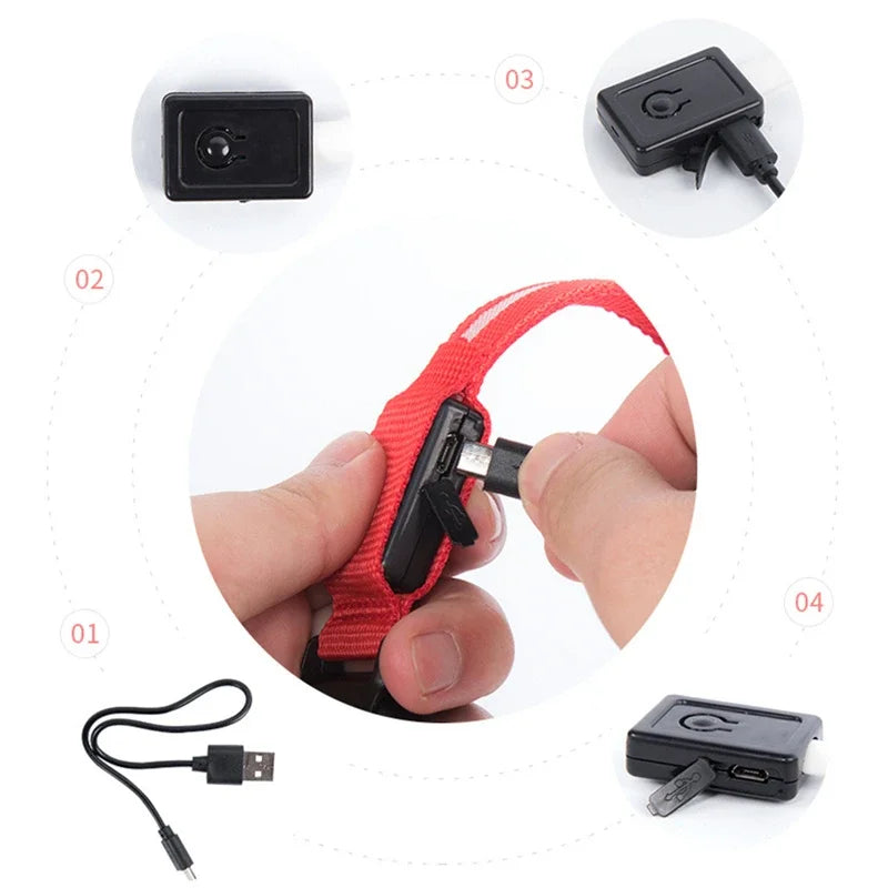Collar LED Recargable para Perros y Gatos – 3 Modos, Desmontable y Brillo Nocturno